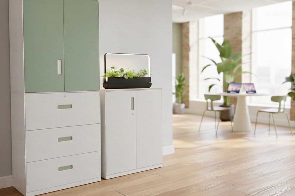 Office Cabinets & Organisers