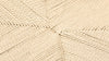 Wish - Oak - Image 6