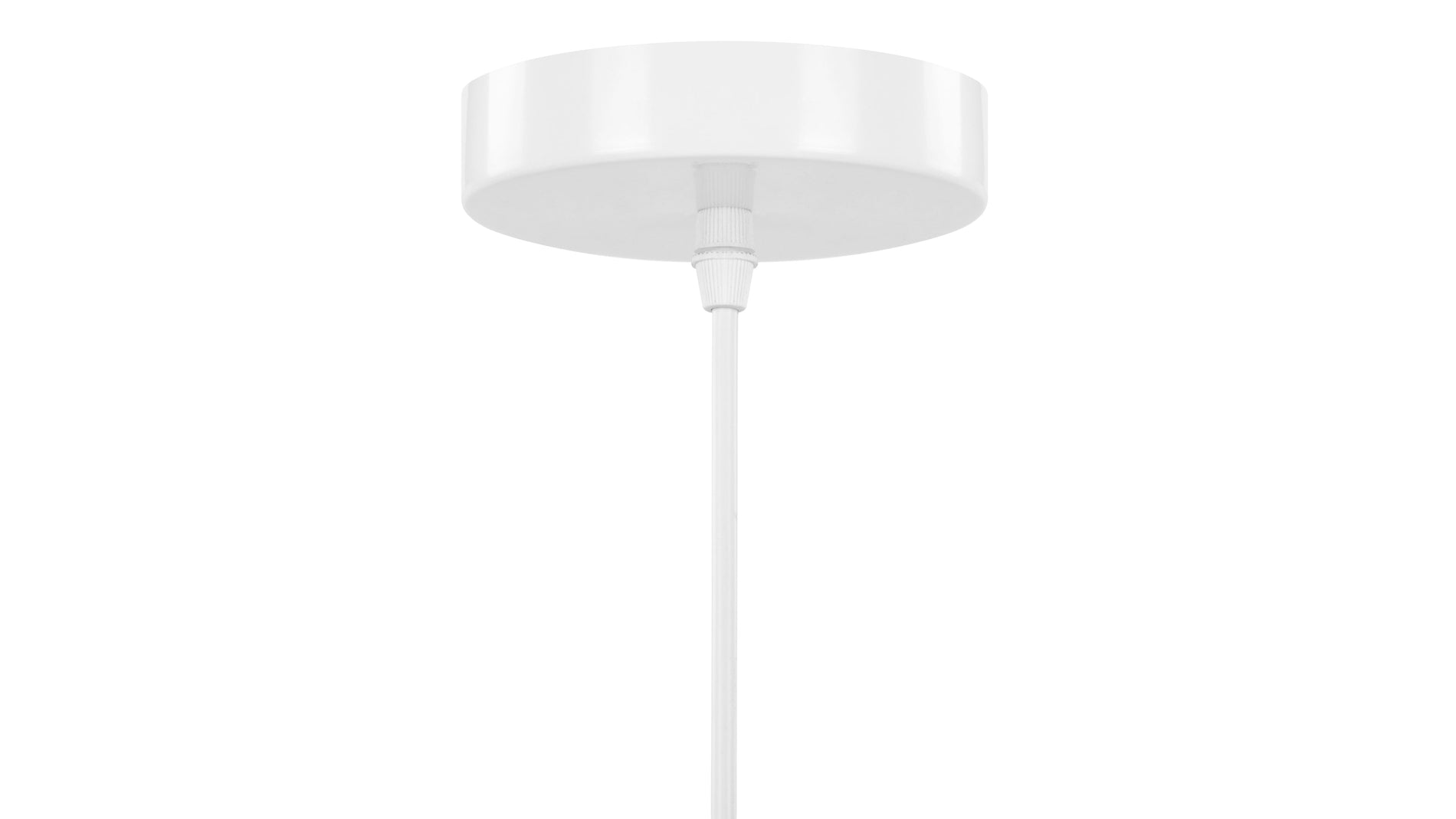 EzraWhite